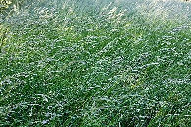 传闻：任天堂Switch 2或将于下周正式公布